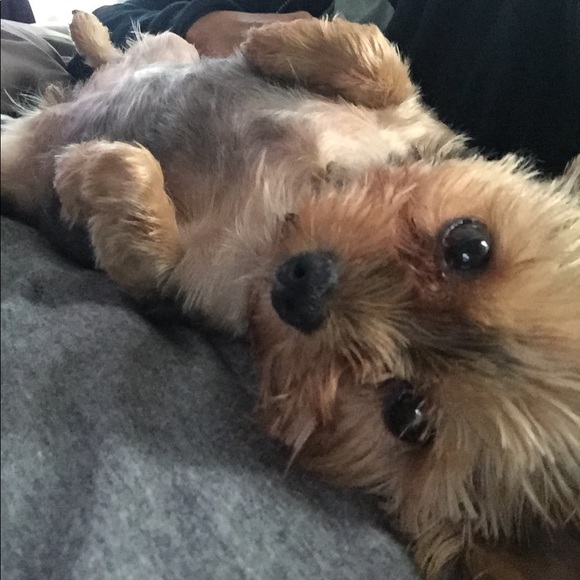 Meet your Posher, Katherine - Picture 5 of 8